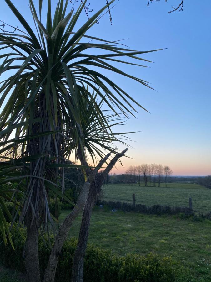 Maisonbel, Gite Convivial Bretagne Vannes Sarzeau 15 Personnes Surzur ภายนอก รูปภาพ